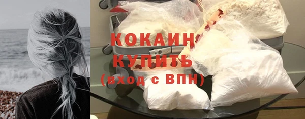 тгк Няндома