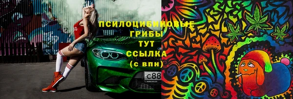 мдпв Нягань